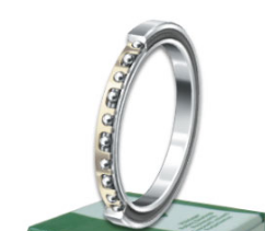 INA CSCA042 bearings